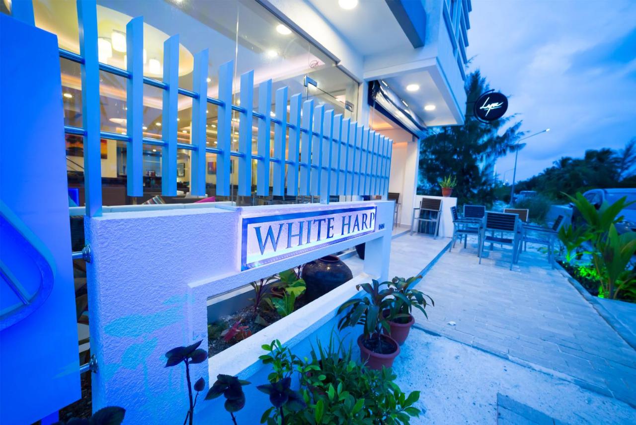 White Harp Beach GUEST HOUSE, фото 4