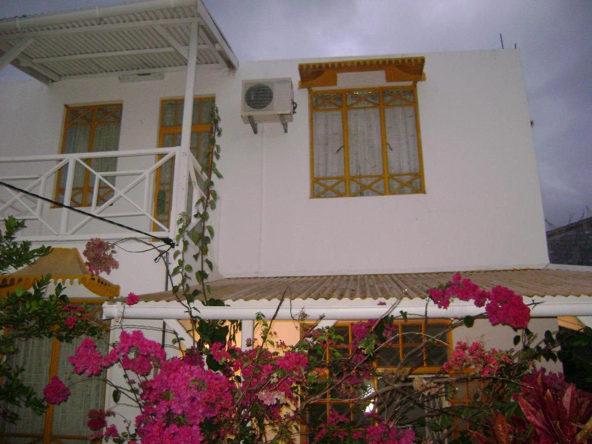 SBE Villa 3*, фото 5
