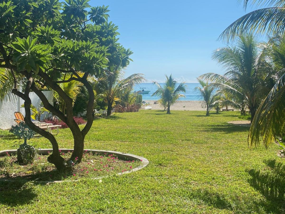 Villasun Beachfront Villa 3*, фото 12