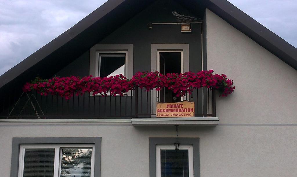 Private accommodation Lidija Rakocevic, фото 14