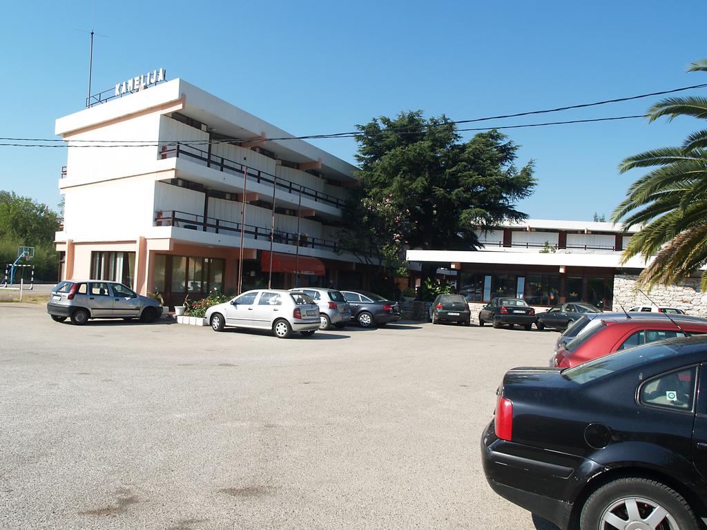Kamelija Hotel 2*, фото 4