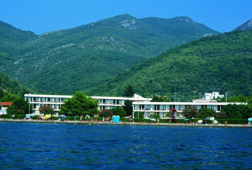Kamelija Hotel 2*, фото 3