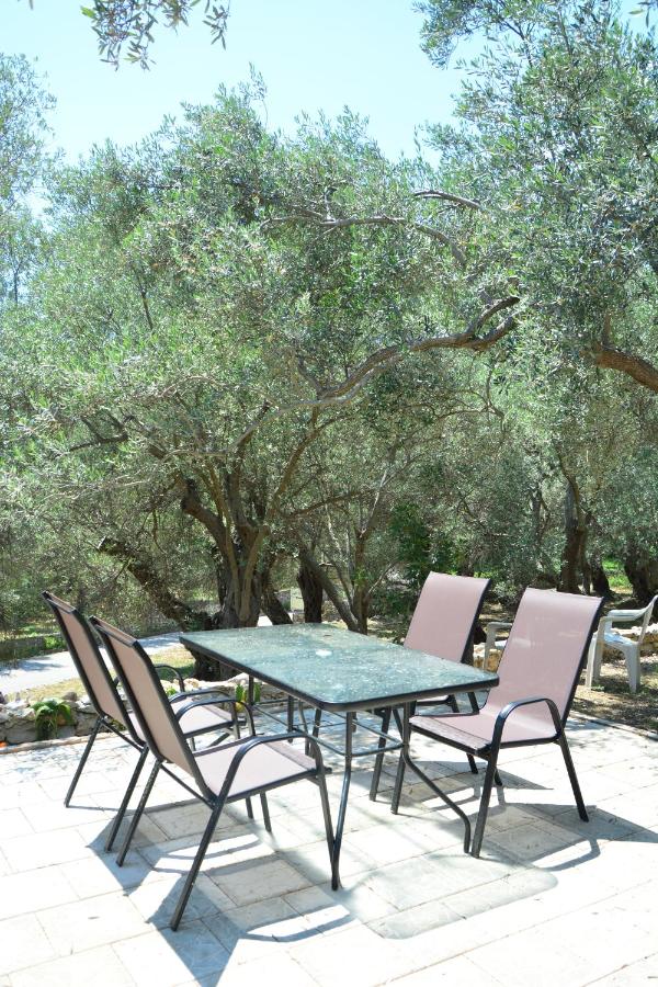Olea 4*, фото 3