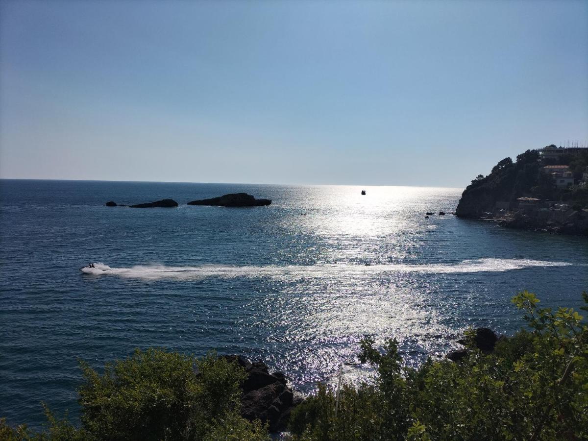 Apartments Montenegro Risan 3*, фото 10
