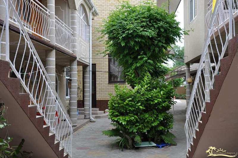 Кассиопея, фото 3