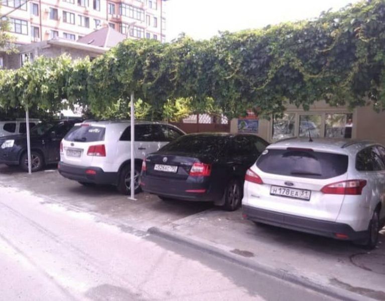 Дубрава, фото 6