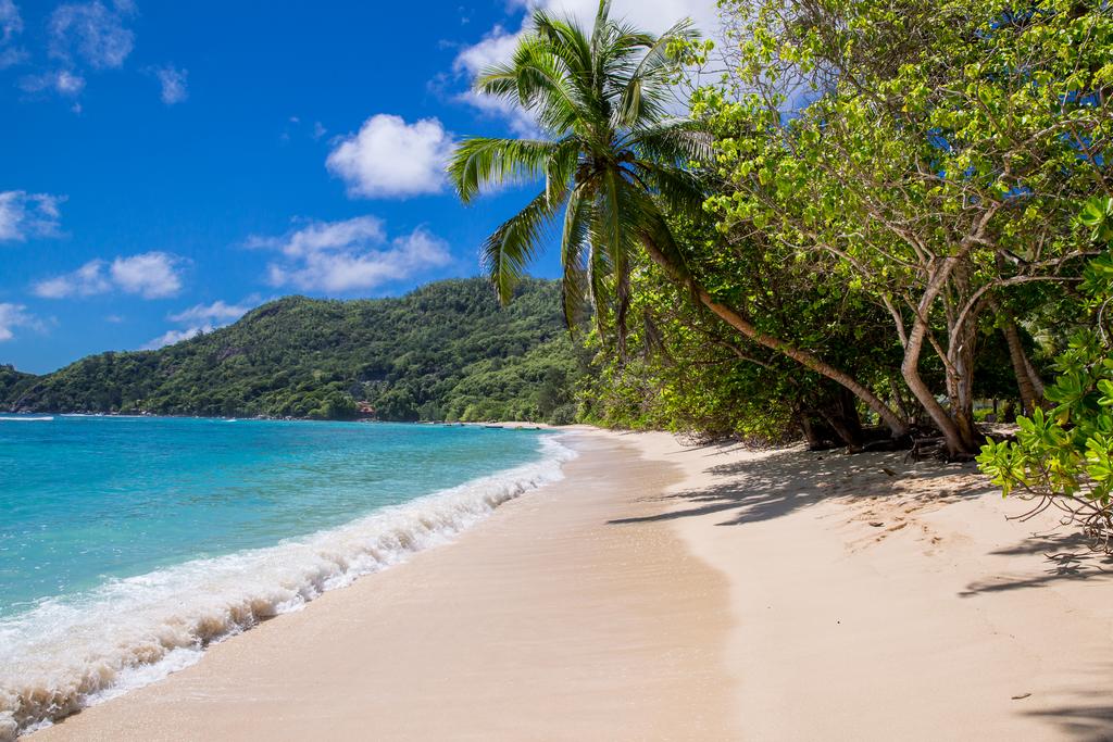 Chalets D'Anse Forbans 3*, фото 2