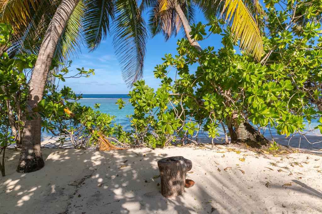 Chalets D'Anse Forbans 3*, фото 3