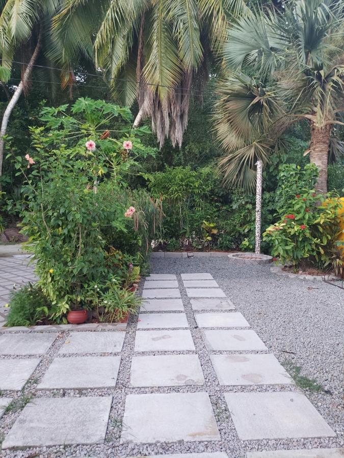La Digue Self Catering 2*, фото 4
