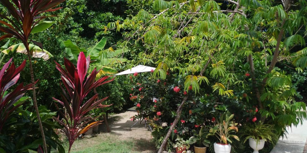 La Digue Self Catering 2*, фото 10