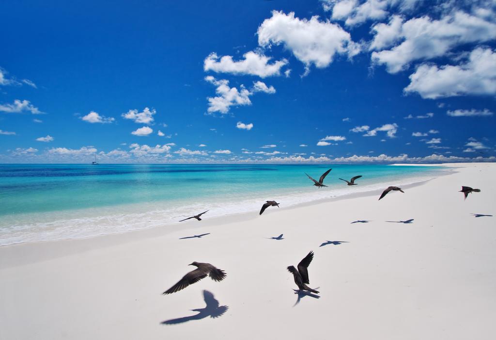 Bird Island Lodge Seychelles 3*