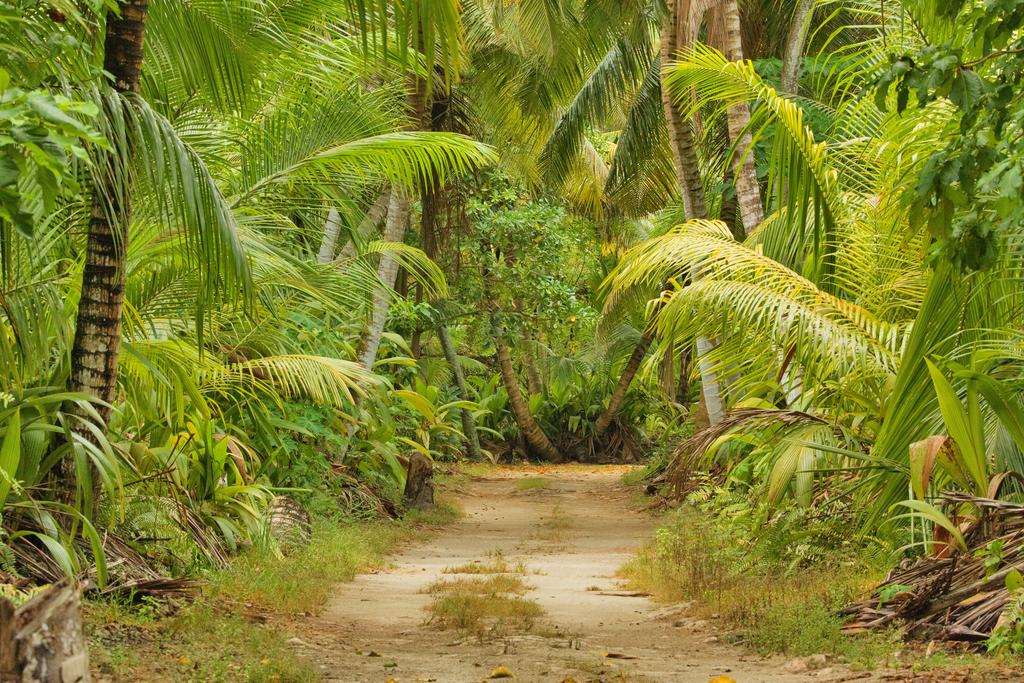 Bird Island Lodge Seychelles 3*, фото 14