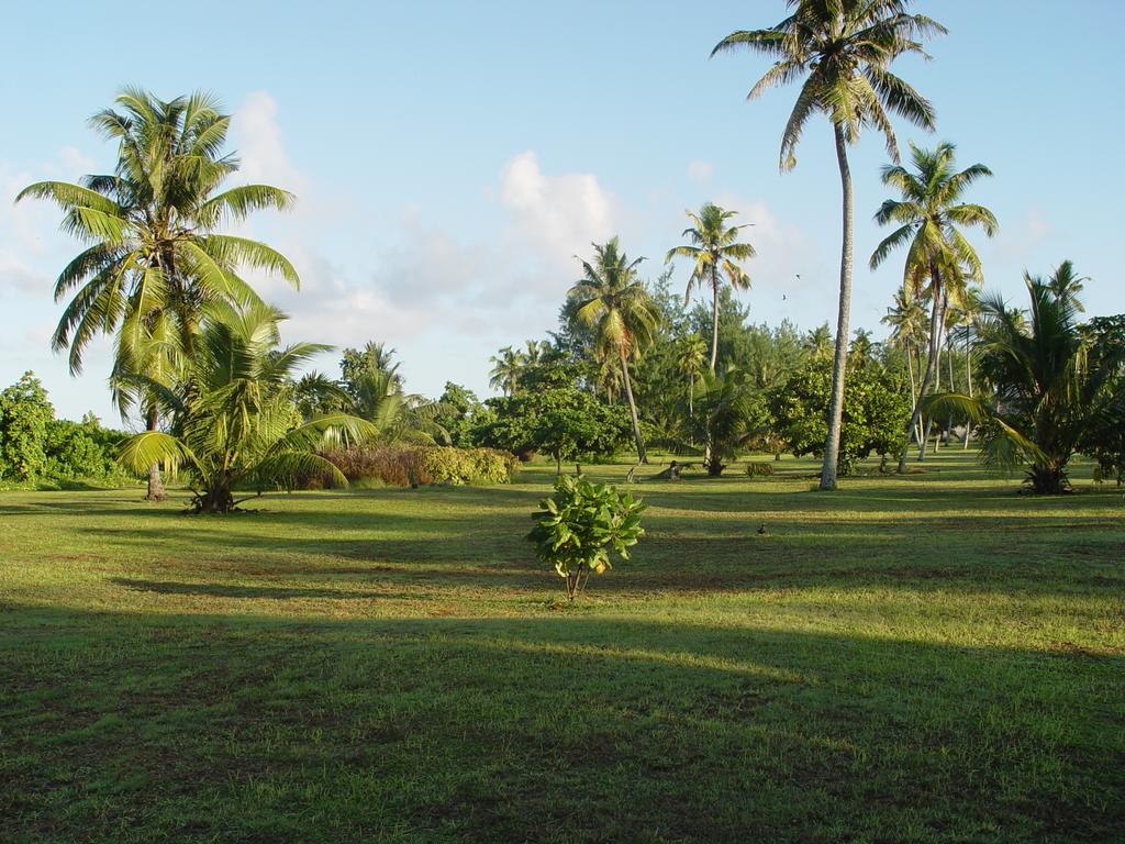 Bird Island Lodge Seychelles 3*, фото 15