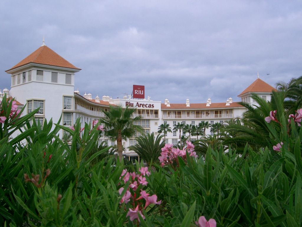 Riu Arecas 4*, фото 15