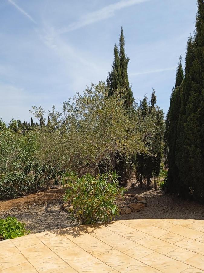 Gaudi 3*, фото 15