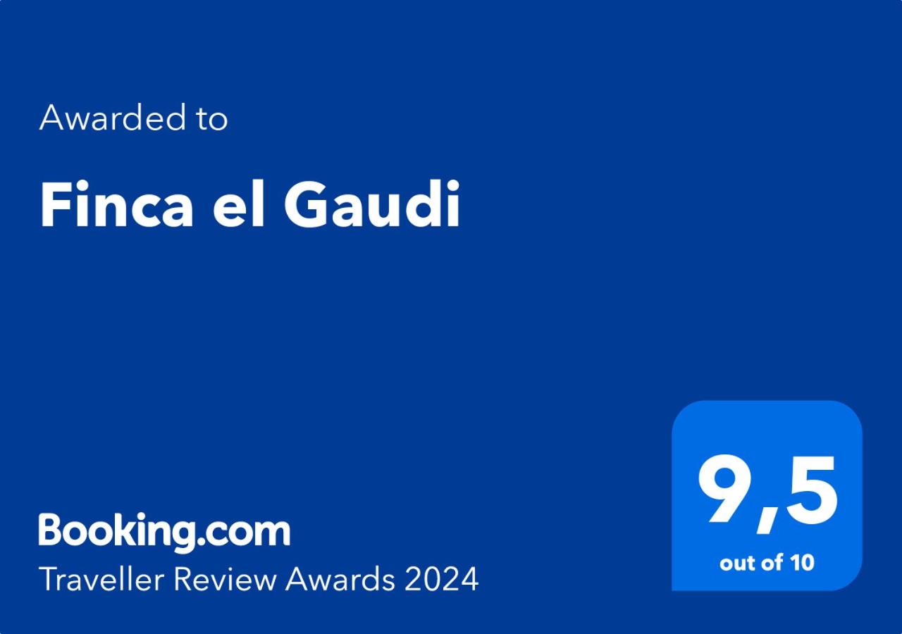 Gaudi 3*, фото 16