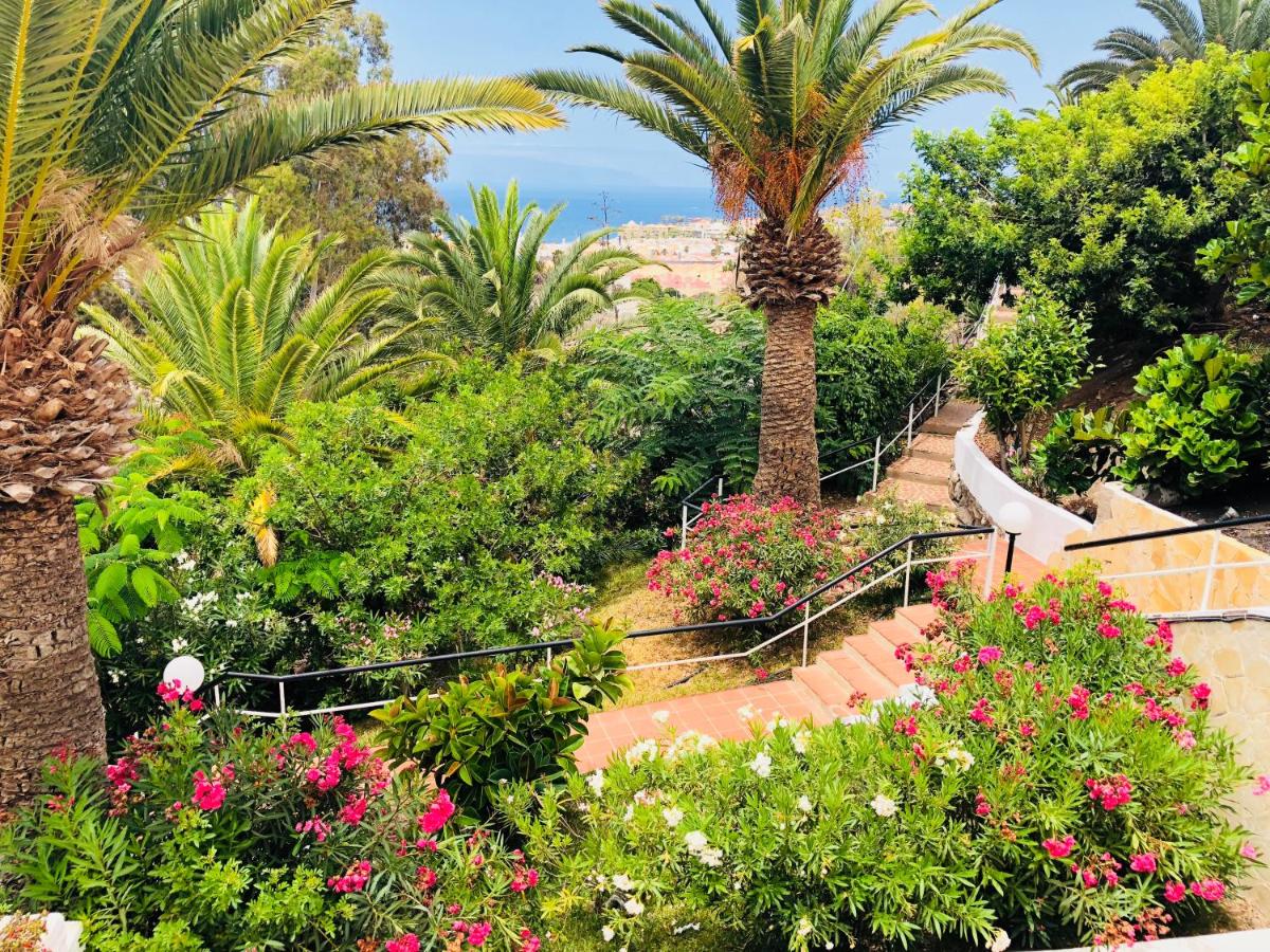 Regency Torviscas Apartments Suites 3*, фото 6