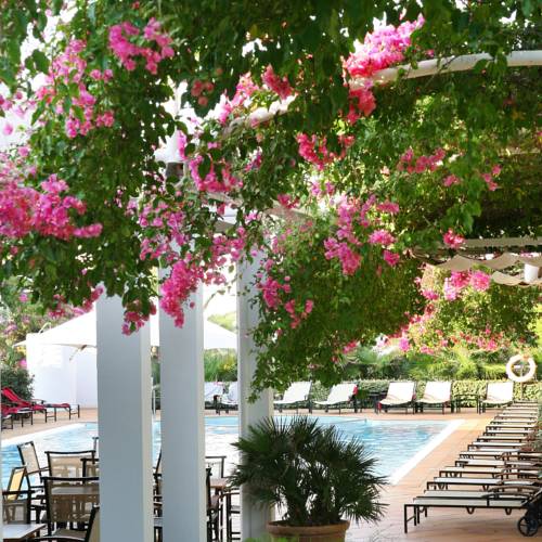 Melia Cala d'Or Boutique Hotel 5*, фото 10