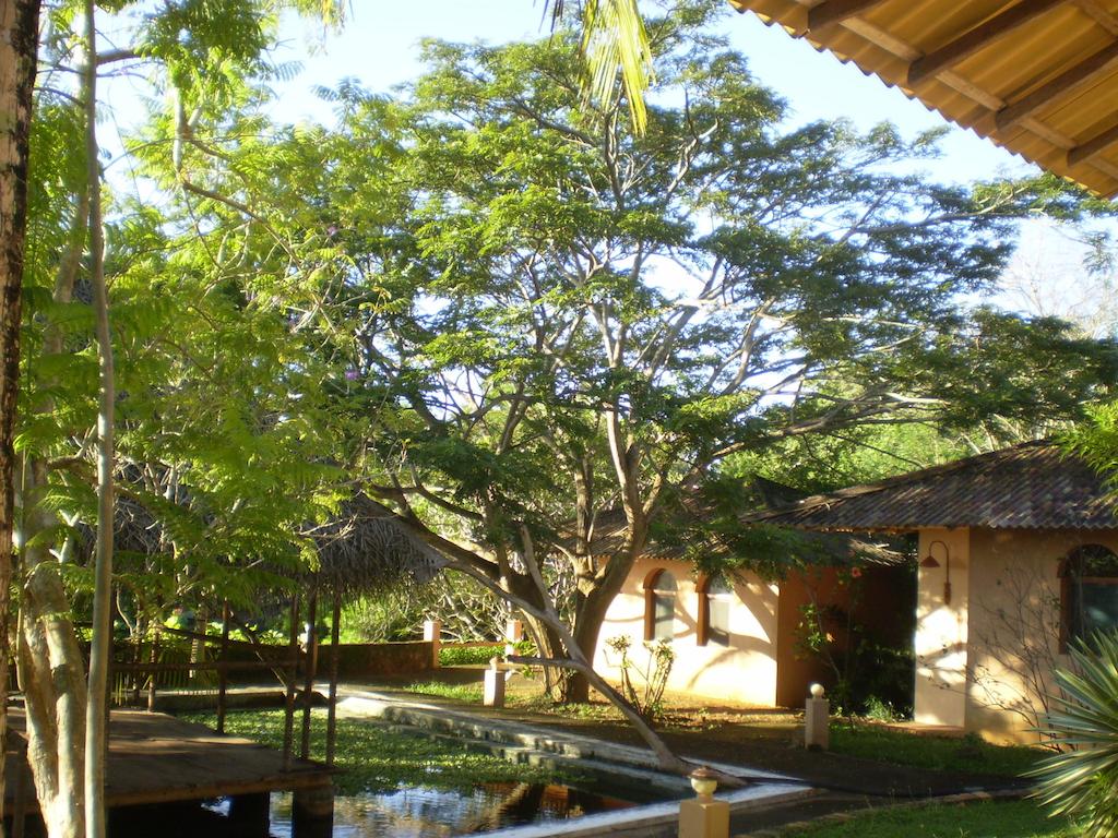 Eva Lanka Hotel 3*, фото 3