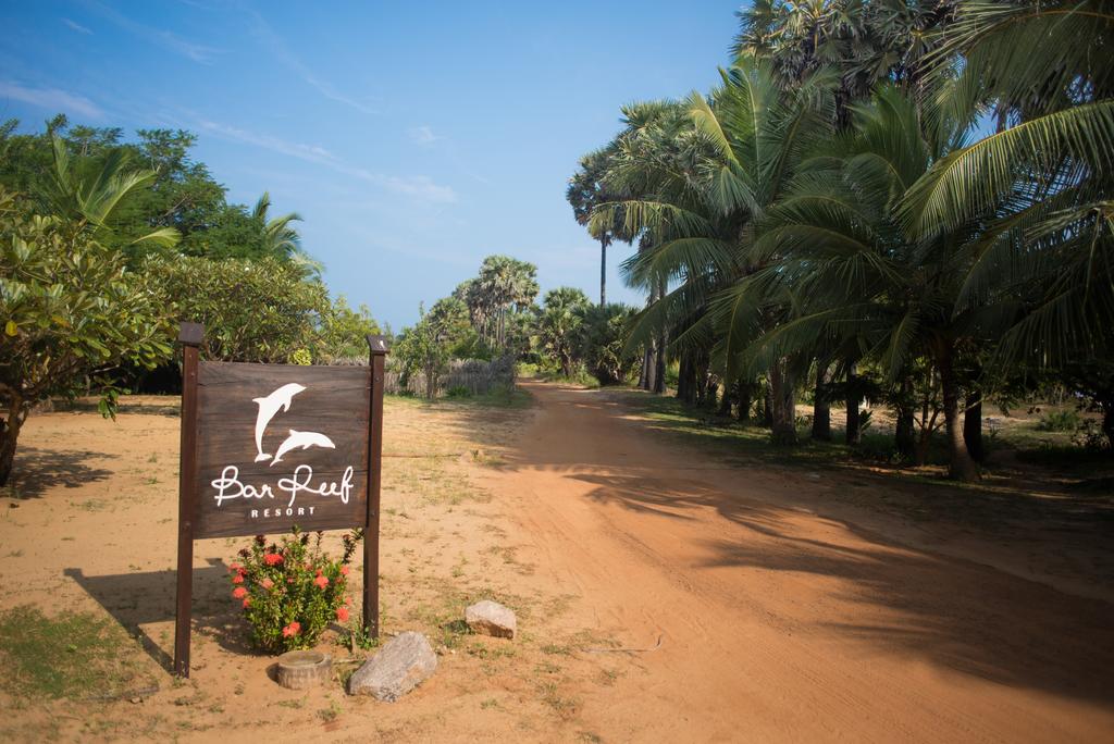 Bar Reef Resort 4*, фото 3