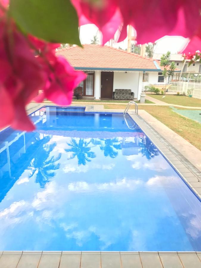 White Rose Beach Resort 3*, фото 16