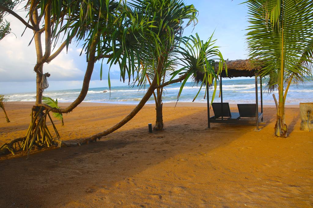 JLH Beach Hotel 2*, фото 10