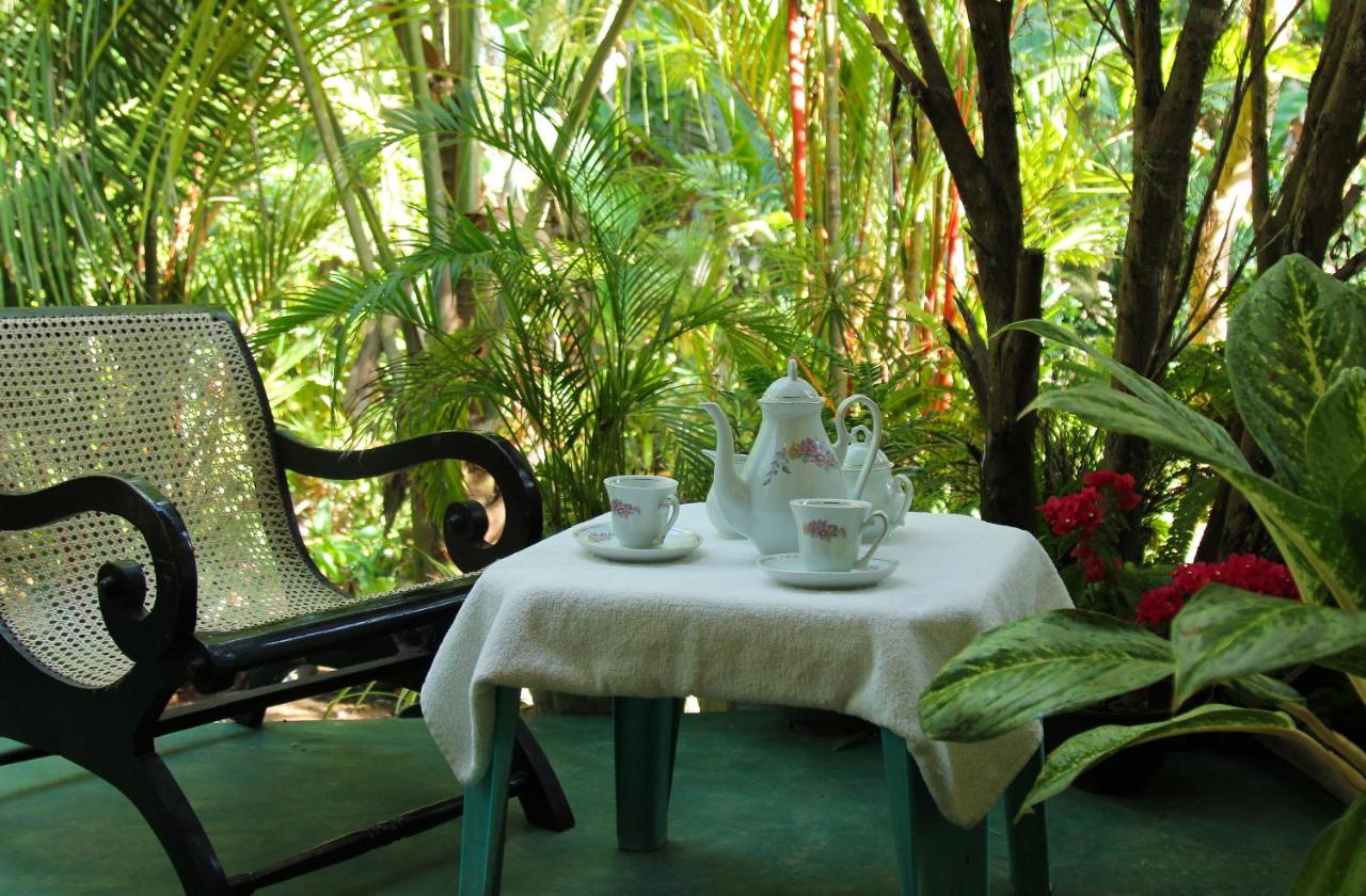 Navora Home Stay 2*, фото 3