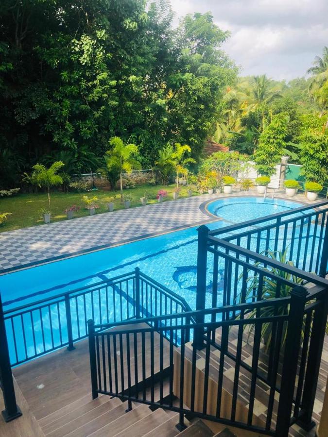 Coral Palm Villa & Apartment 2*, фото 13