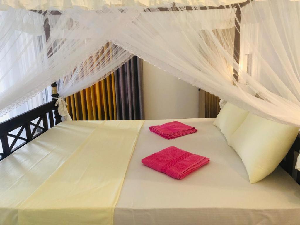 Coral Palm Villa & Apartment 2*, фото 6