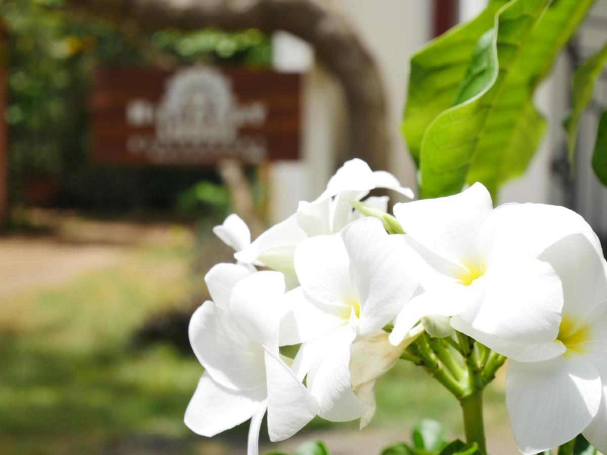 Hideaway Lodge 3*, фото 15