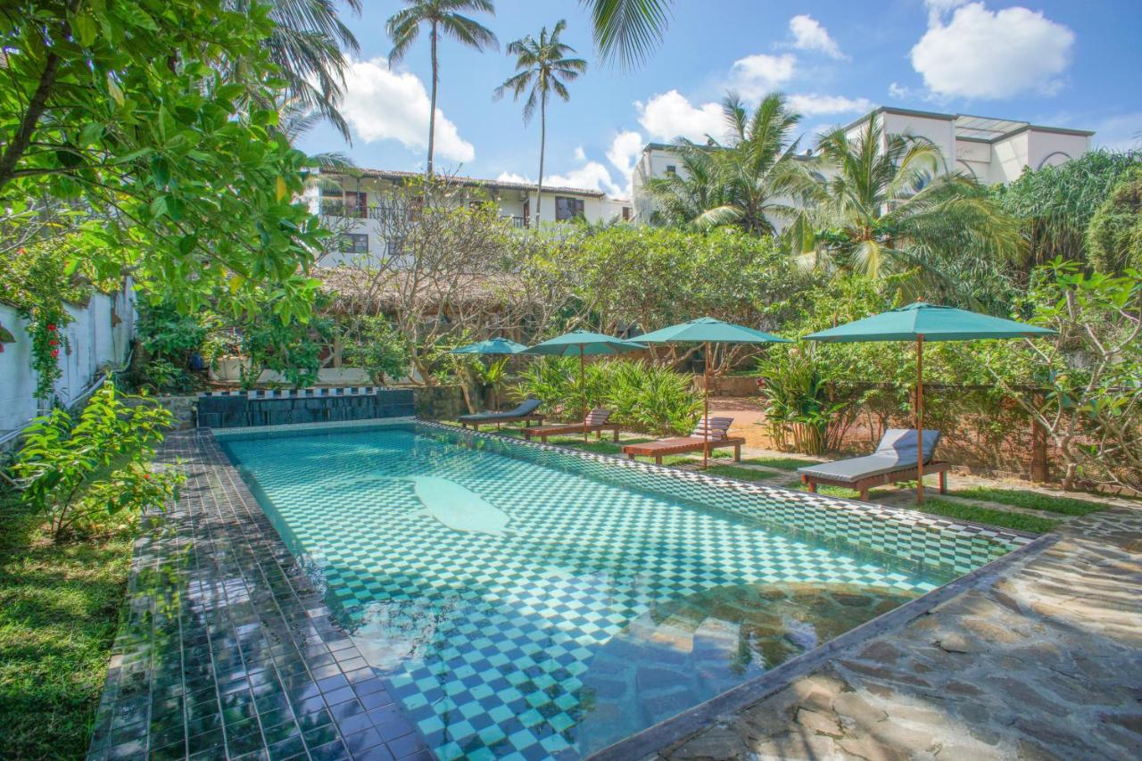 Hotel Zeilan Sunset Point 4*, фото 3