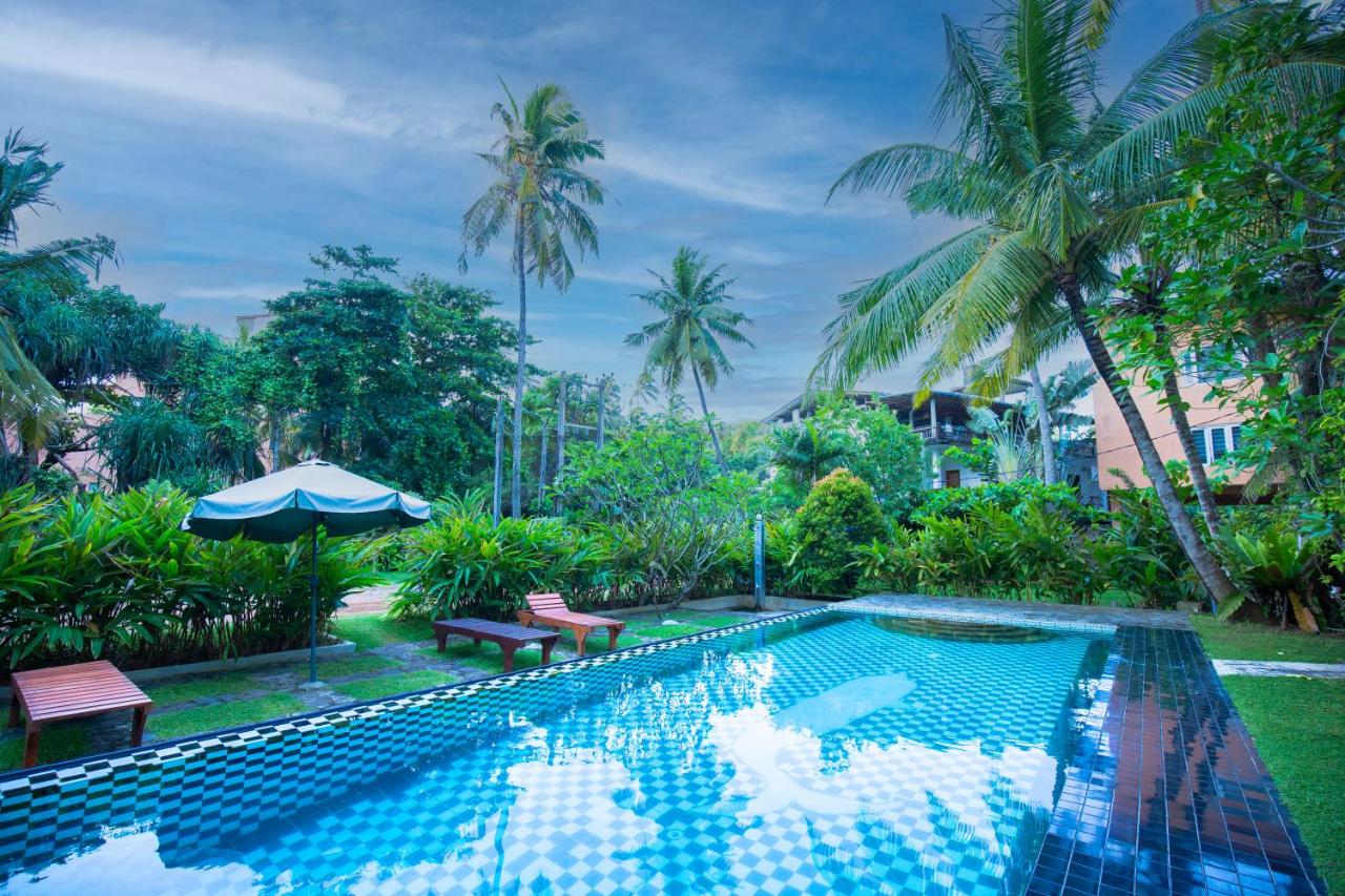 Hotel Zeilan Sunset Point 4*, фото 16