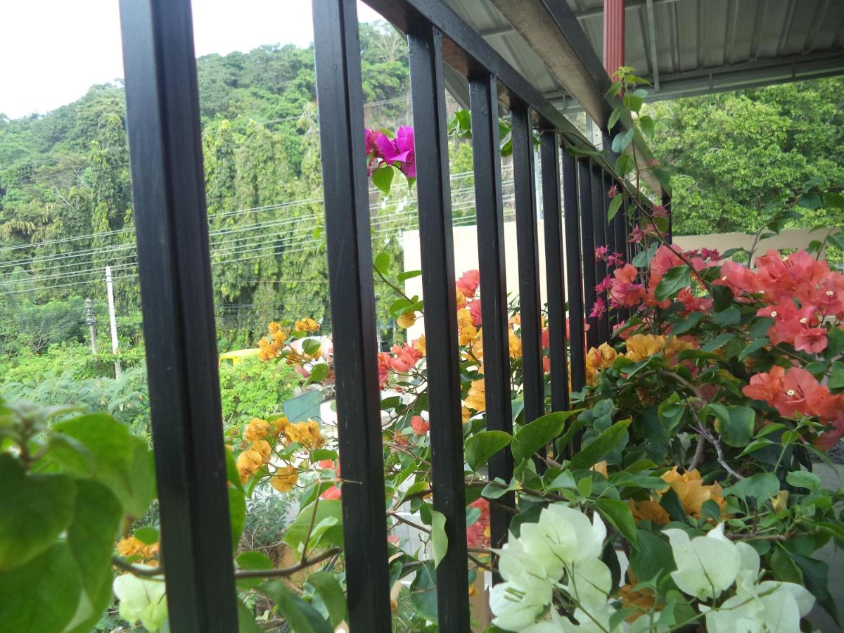 My Place Guest House 3*, фото 6
