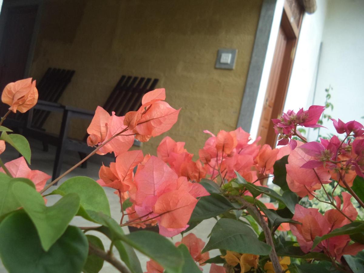 My Place Guest House 3*, фото 7