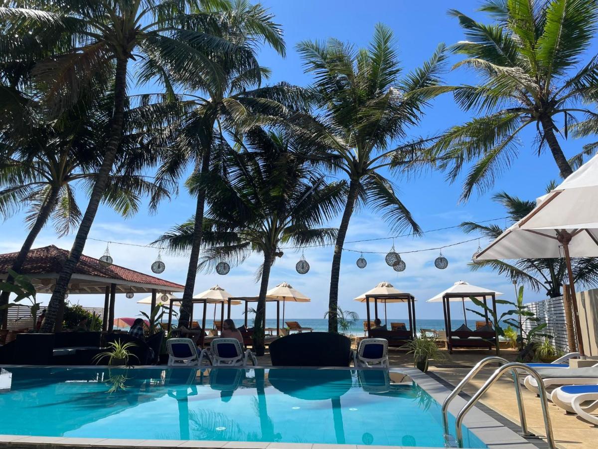 Nico Beach Hotel 2*, фото 8