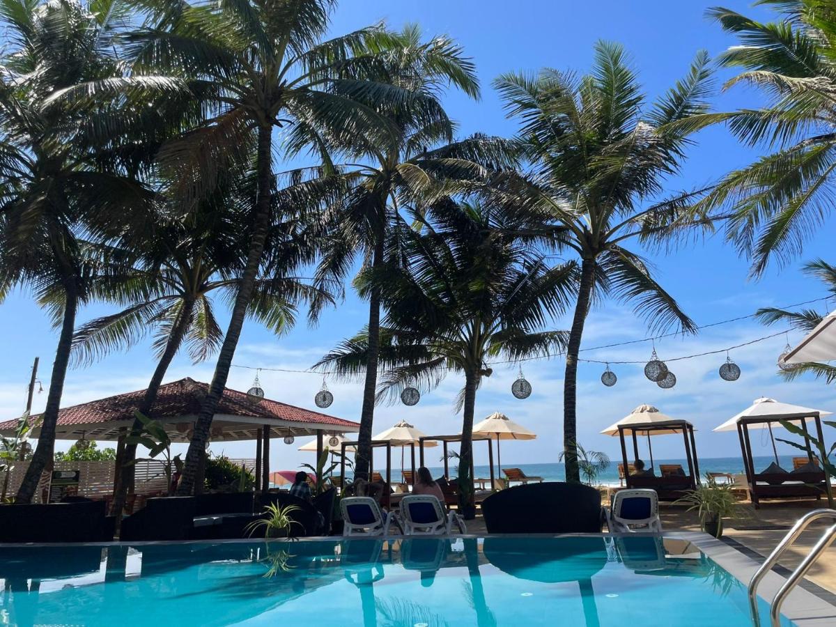 Nico Beach Hotel 2*, фото 10