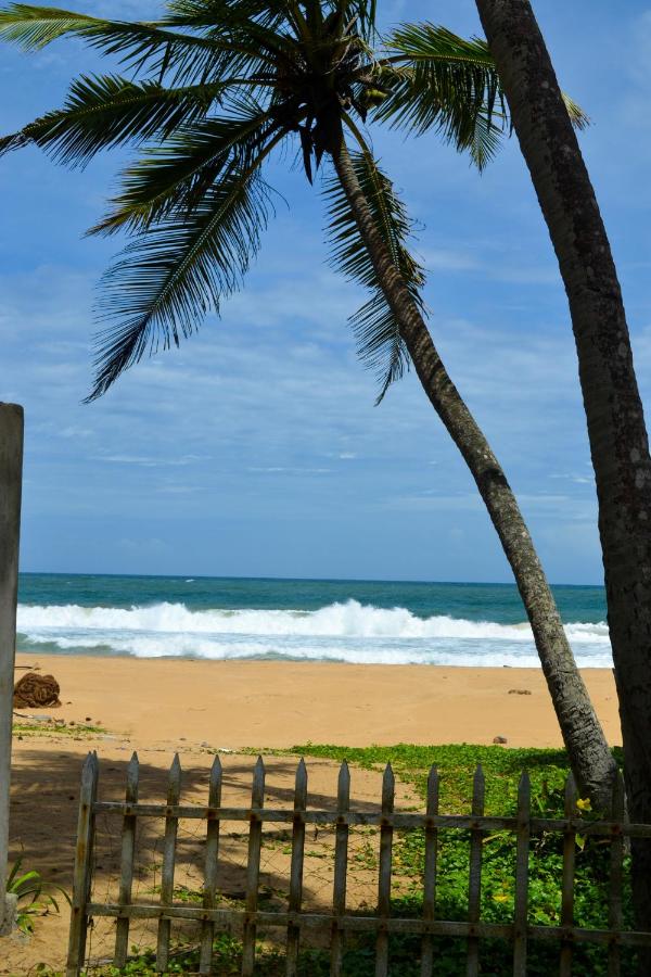 Yula Beach Hikkaduwa 3*, фото 3