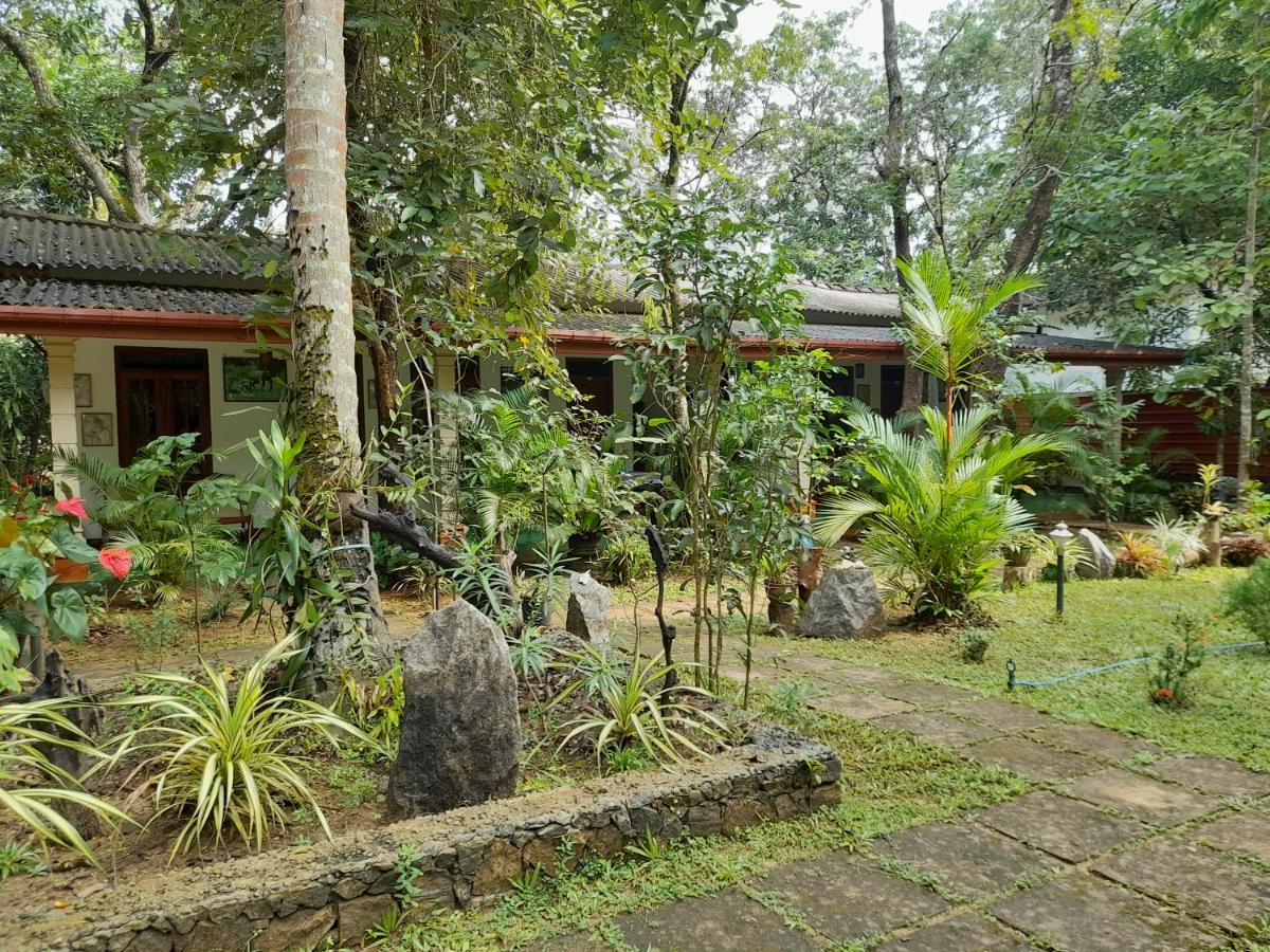 Sigiriya Jungle 4*, фото 4