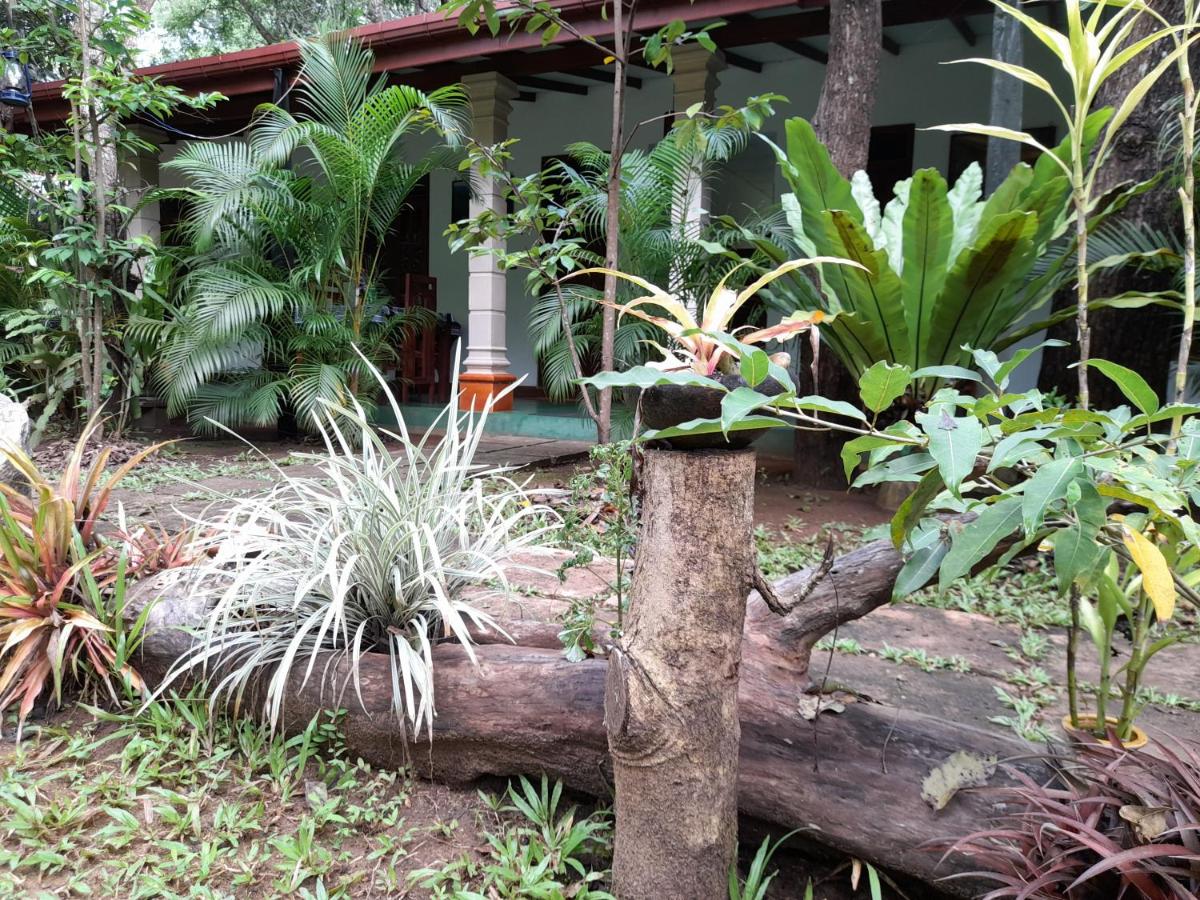 Sigiriya Jungle 4*, фото 15