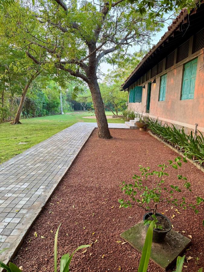 Yala Village 4*, фото 4