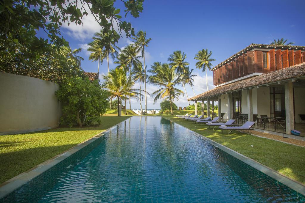 The Frangipani Tree by Edwards Collection 5*