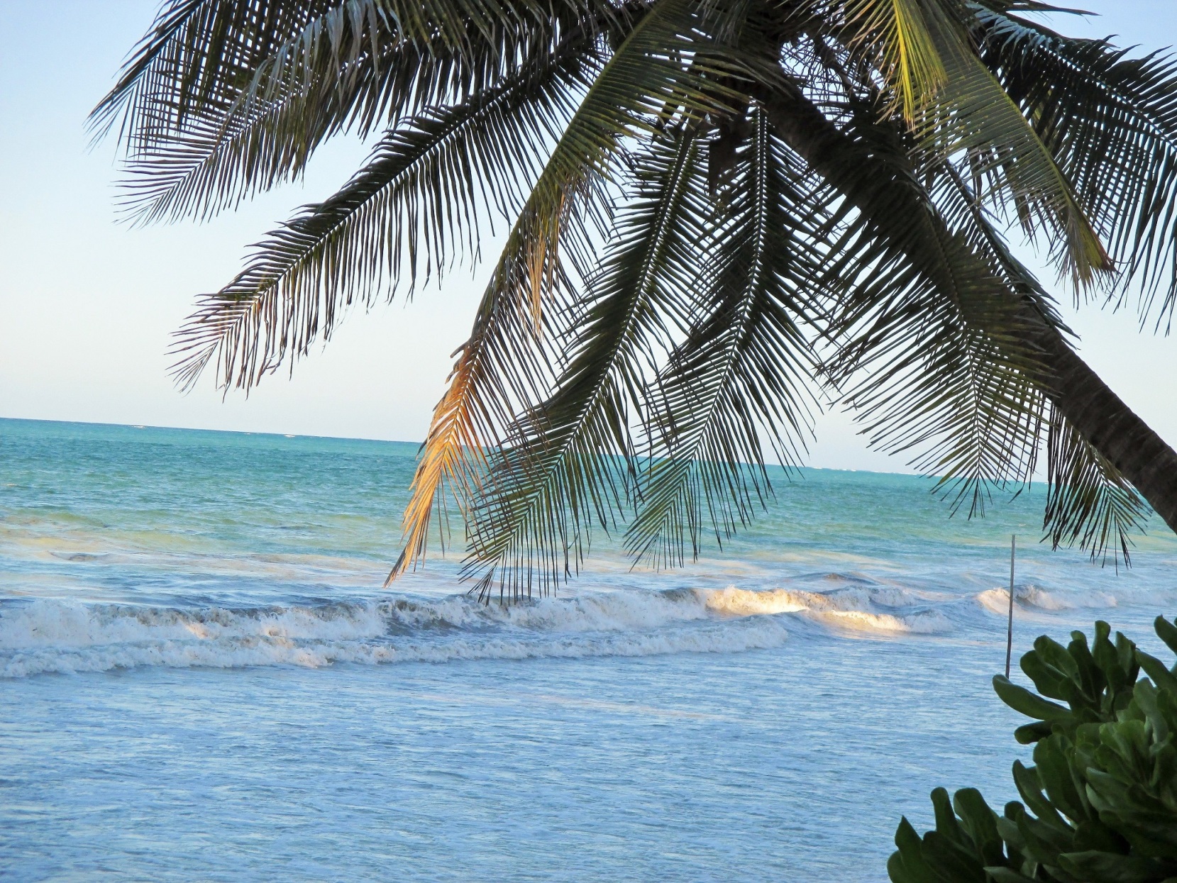Zanzibar Ocean View 3*