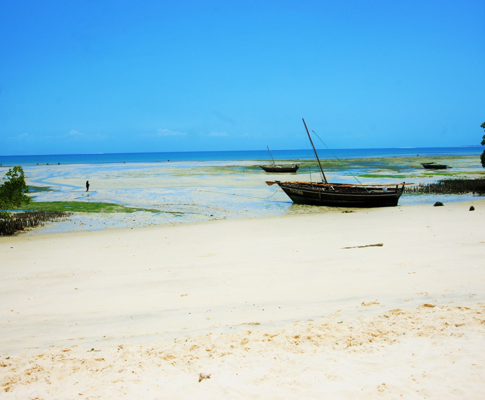 Zanzibar Ocean View 3*, фото 4