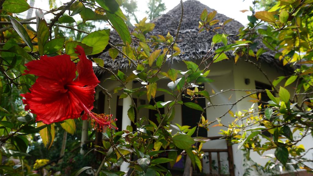 Mangrove Lodge 3*, фото 9