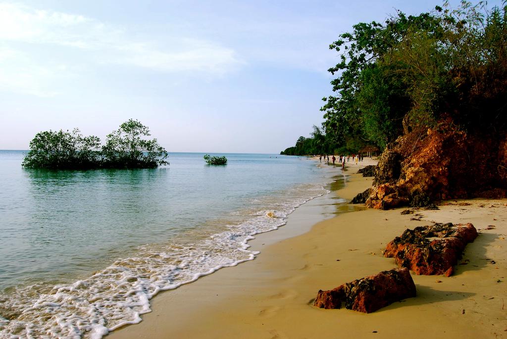 Mangrove Lodge 3*, фото 4