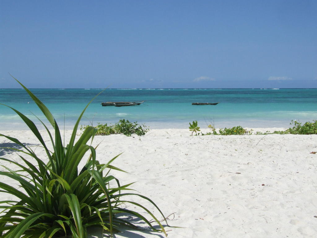 Next Paradise Boutique Resort 4*, фото 4