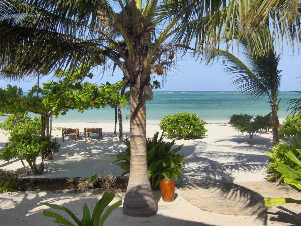 Next Paradise Boutique Resort 4*, фото 3