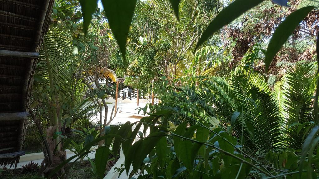 Zanzest Beach Bungalows 3*, фото 12