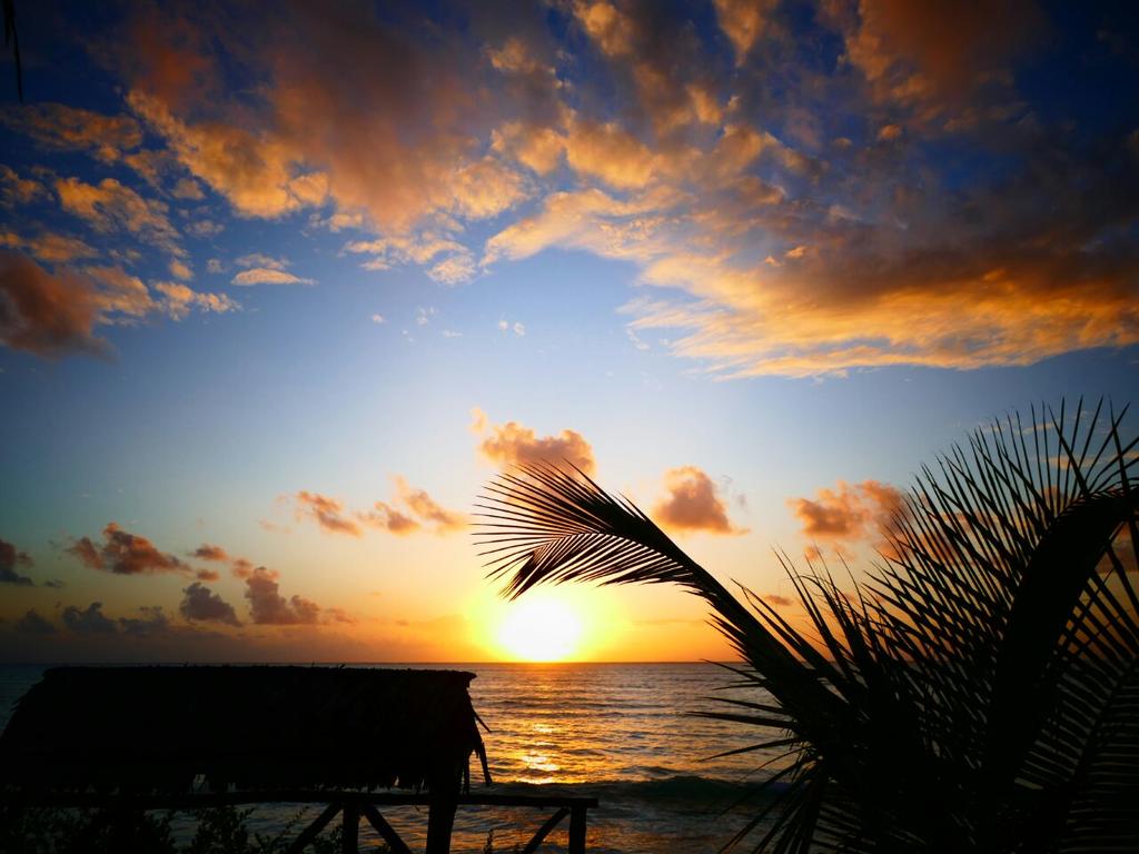 Zanzest Beach Bungalows 3*, фото 3