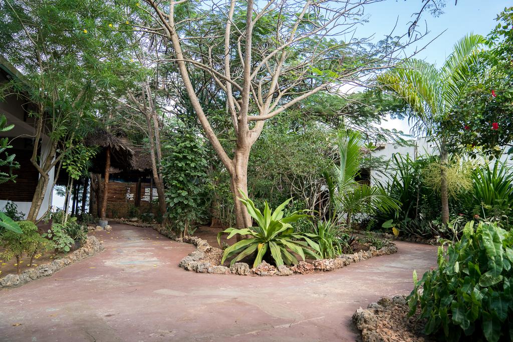 Beach Baby Lodge 4*, фото 7